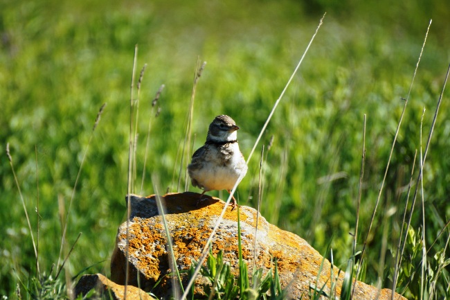 На Опуке Ленинский район прошла экологическая неделя